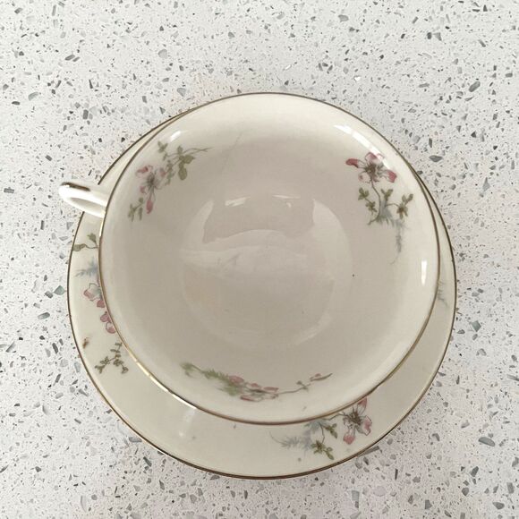 Vintage Theodore HAVILAND New York Apple Blossom Footed Tea Cup & Saucer Set - Picture 3 of 5